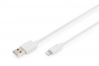 USB-A und USB-B